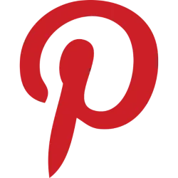 PINS logo