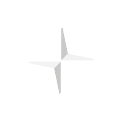 PSNY logo