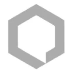 QSI logo