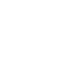 RACE logo