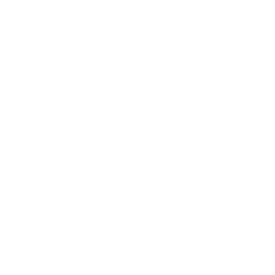 RELI logo
