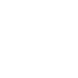 RLX logo