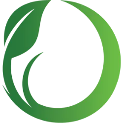 SFM logo