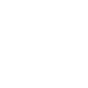 SKIN logo