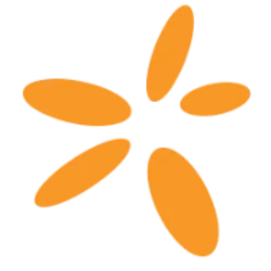 SNN logo