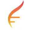 STOK logo