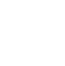 STT logo