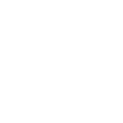 UAA logo