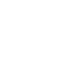 V logo