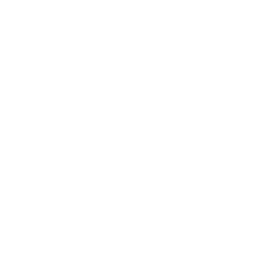 VERI logo