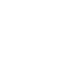VERO logo