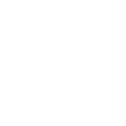 VTSI logo