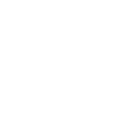 VUZI logo