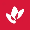 WDS logo