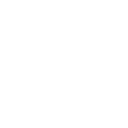 WSM logo