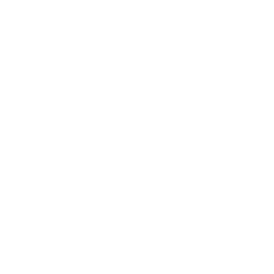 WVE logo