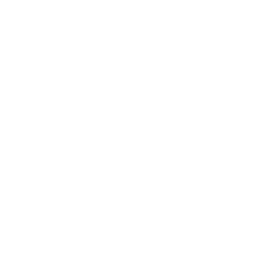 WYNN logo