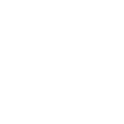 XPEV logo