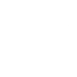 Z logo