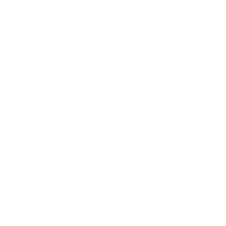 ZION logo