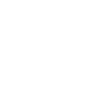 ZM logo
