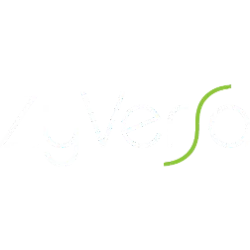 ZVSA logo